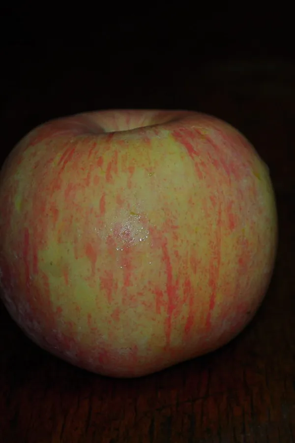 Fuji Apple