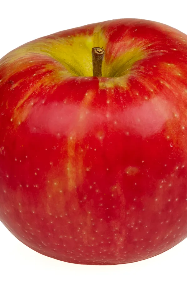 Honeycrisp Apple