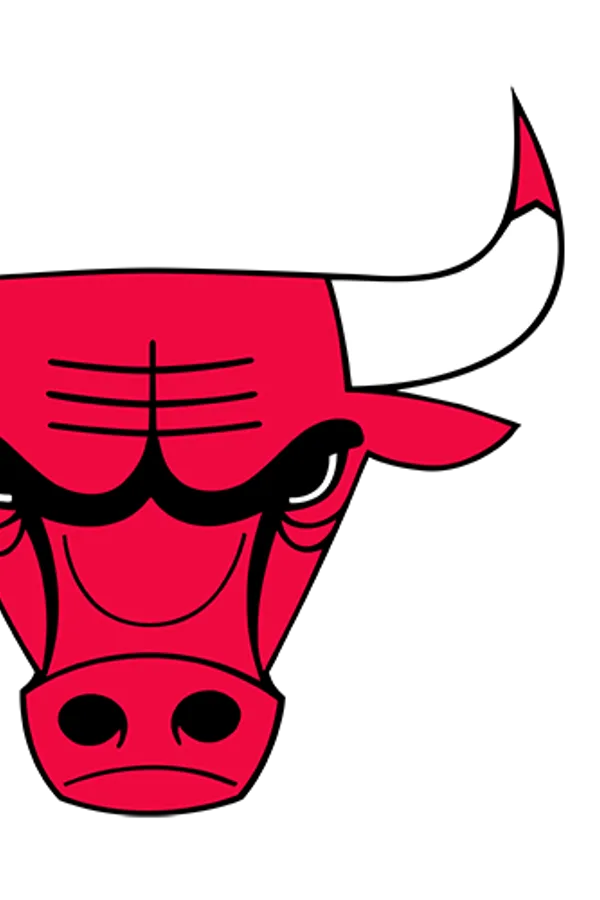 Chicago Bulls